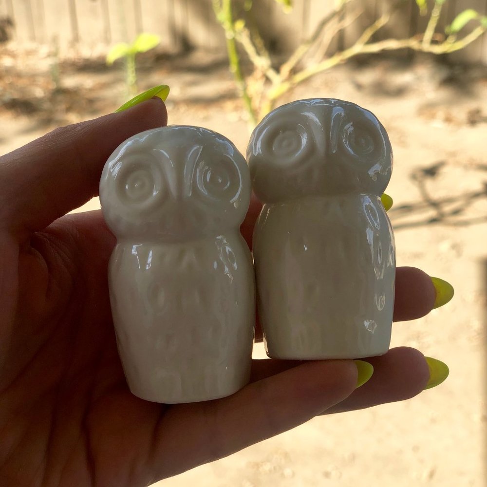 Owl Salt & Pepper Set